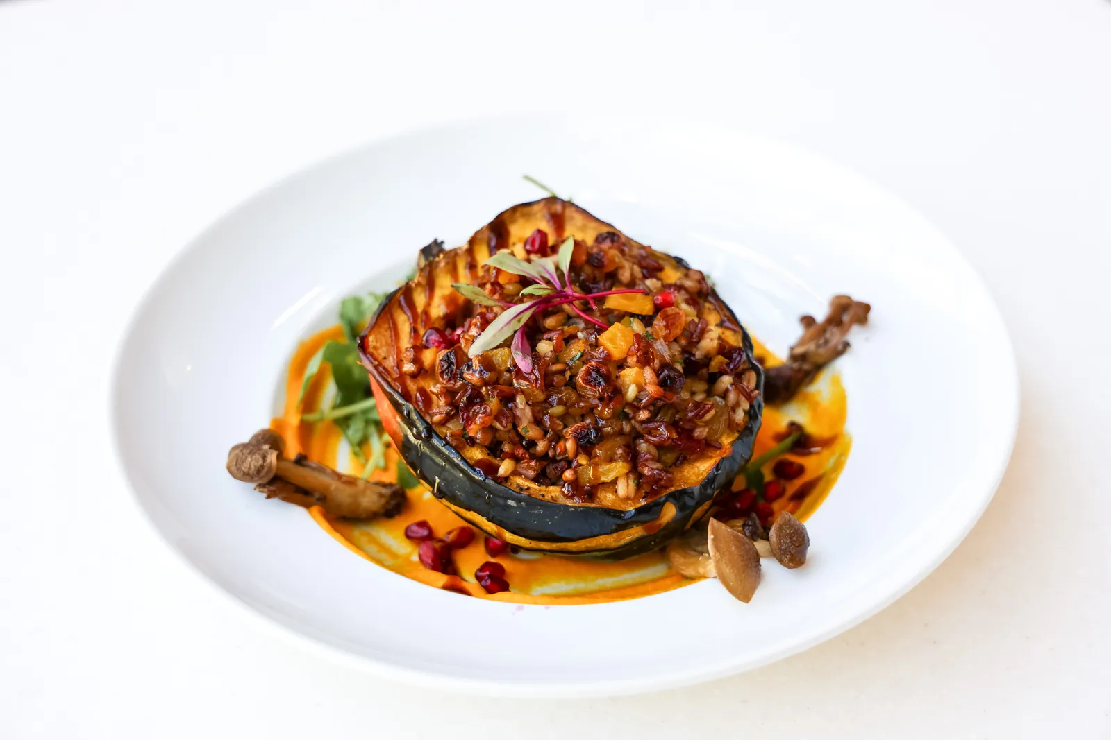 A plated entree with grains and vegetables