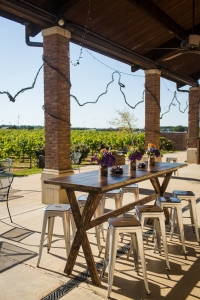 Delaney Vineyards Terrace 